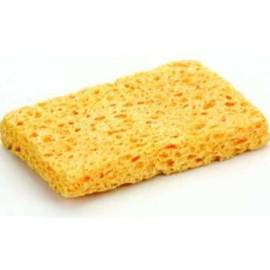 HAVYA SÜNGERİ